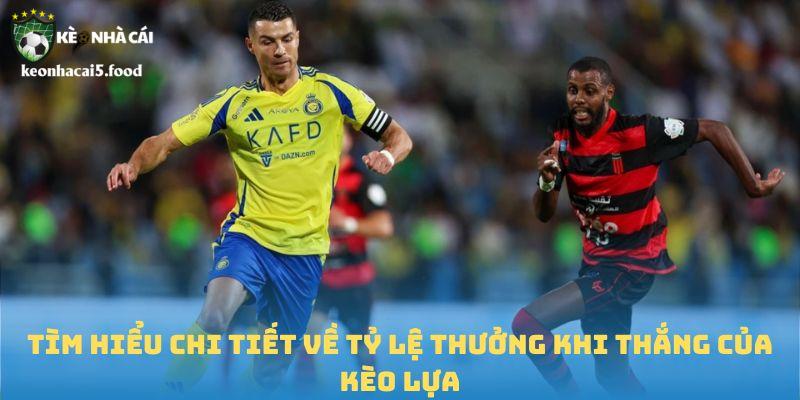 Tìm hiểu chi tiết về tỷ lệ thưởng khi thắng của kèo lựa