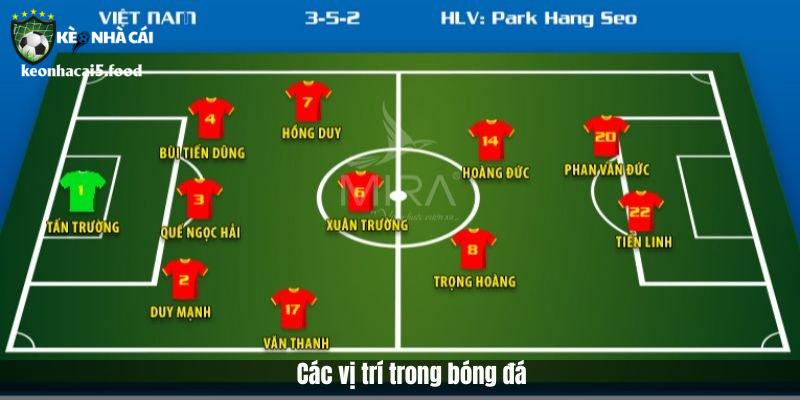 Các vị trí trong bóng đá