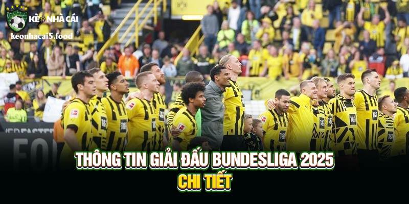 Thông tin giải đấu Bundesliga 2025 chi tiết